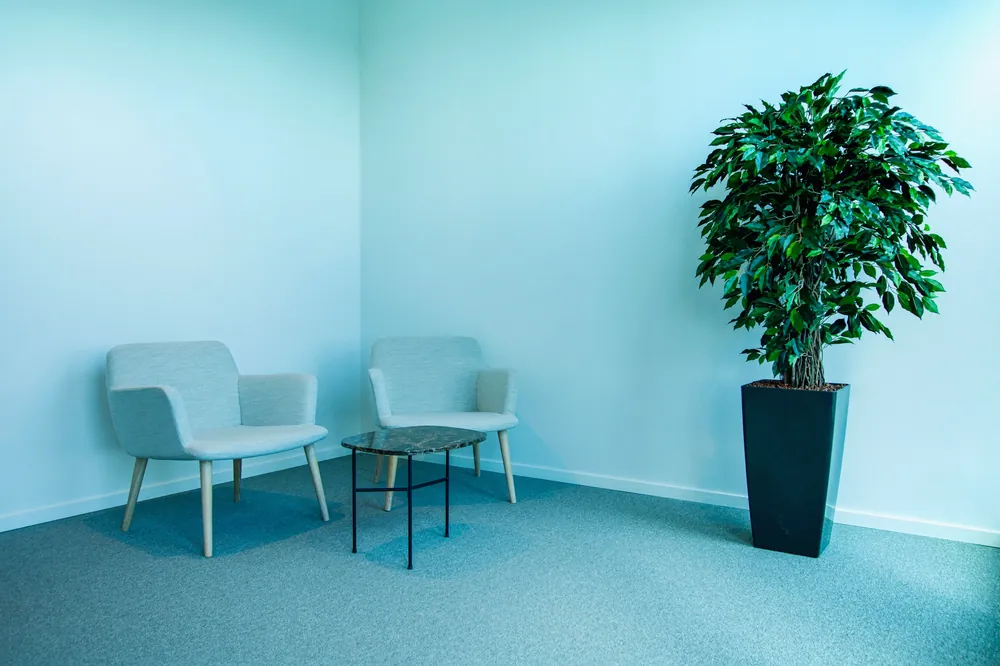 Salle d’attente claire aux murs bleu ciel, deux fauteuils et un grand ficus