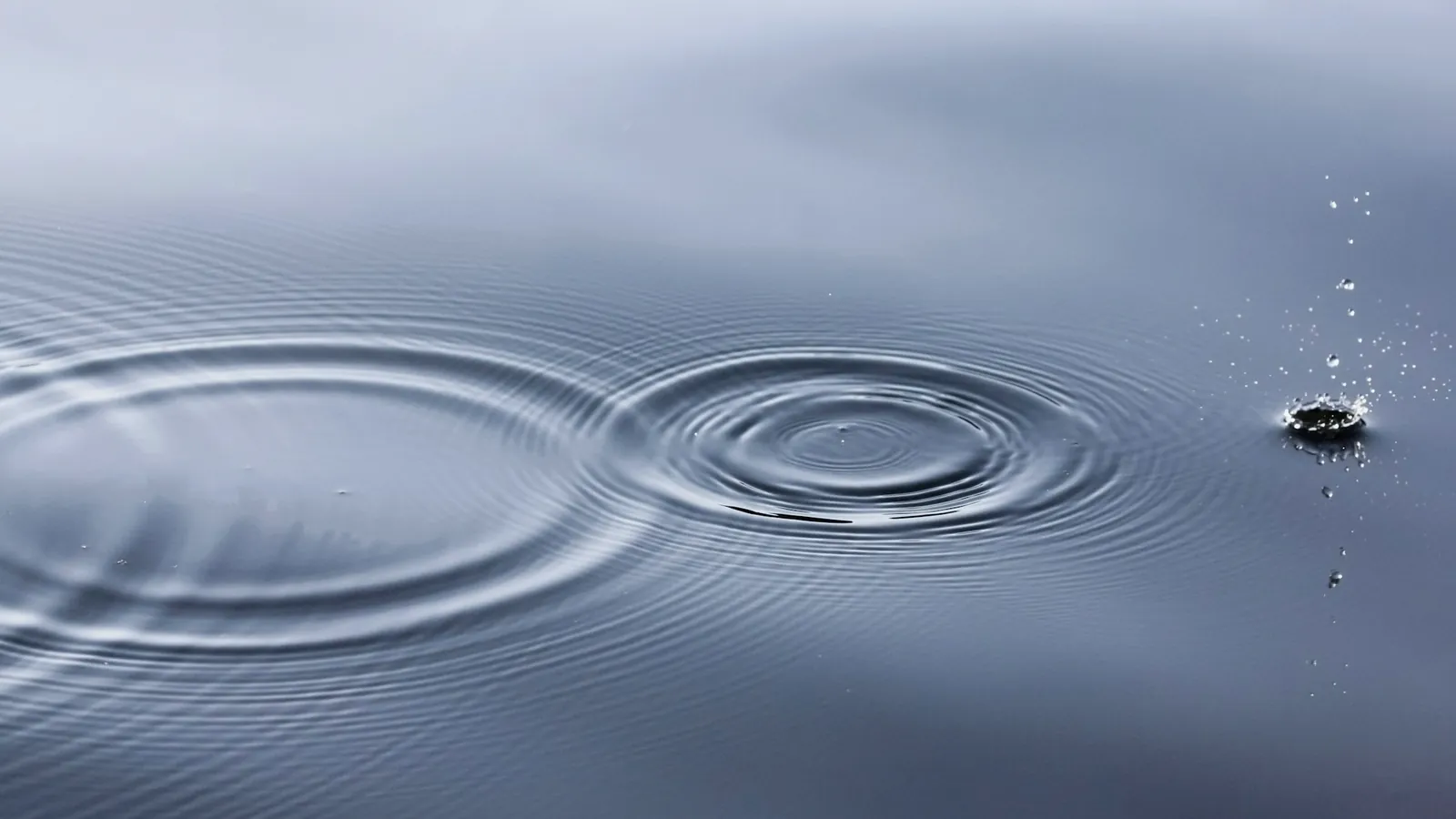 Ondulations concentriques à la surface d’une eau grise